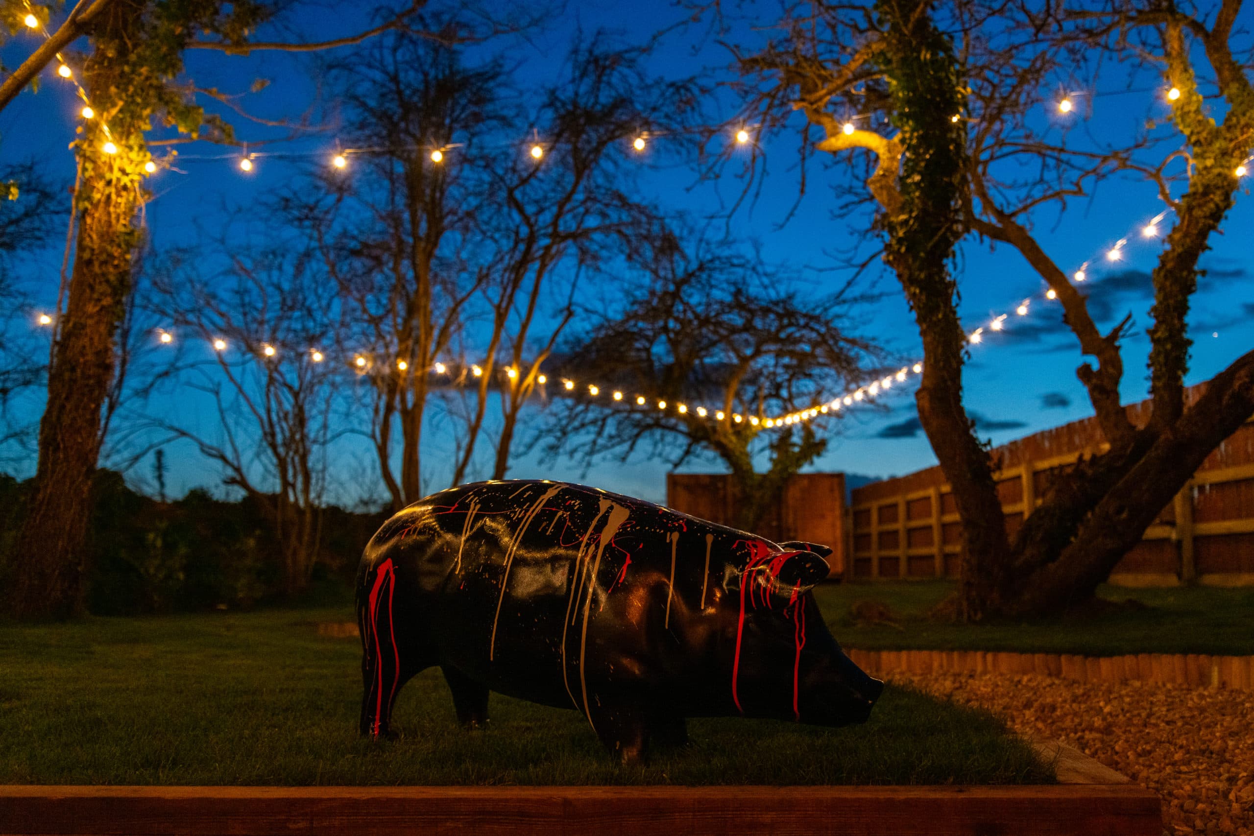 The Piggery gardens at night, lit with festoon lights